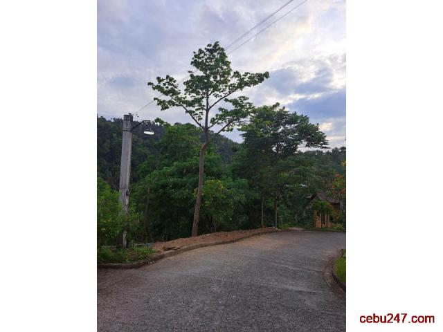 LOT FOR SALE with mountain and city view - Lower Busay