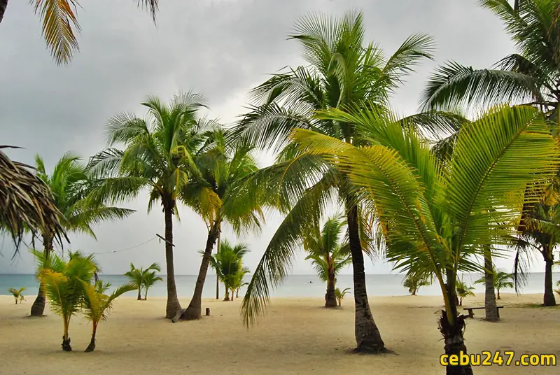 cebu best bantayan