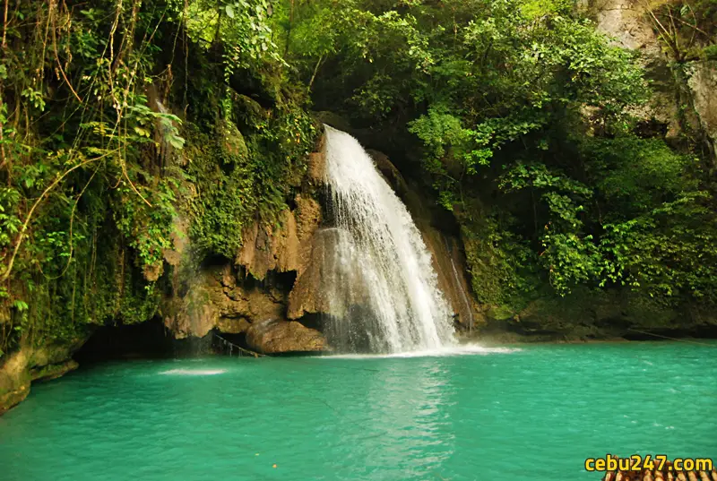 kawasan waterfalls cebu