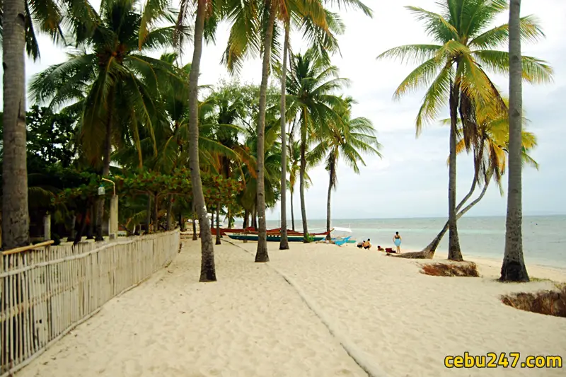 malapascua beach cebu