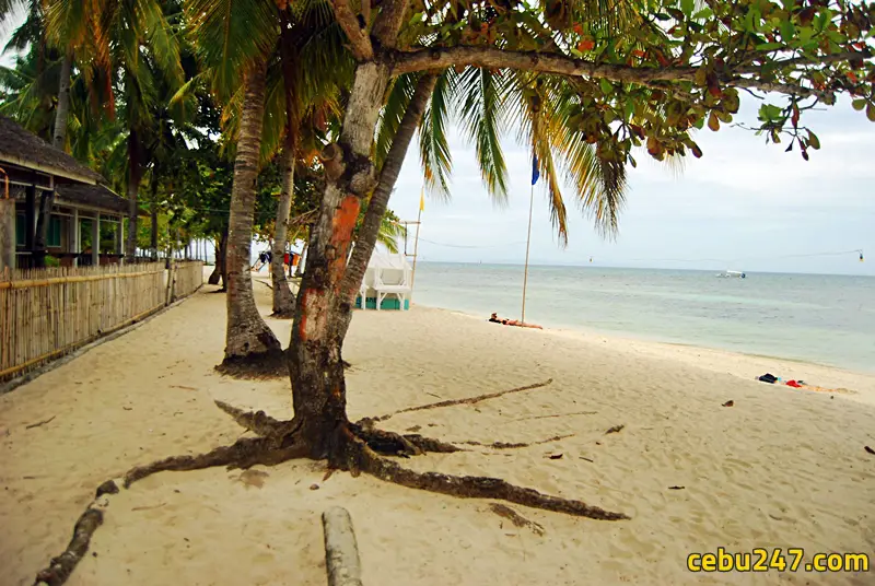 malapascua cebu beach