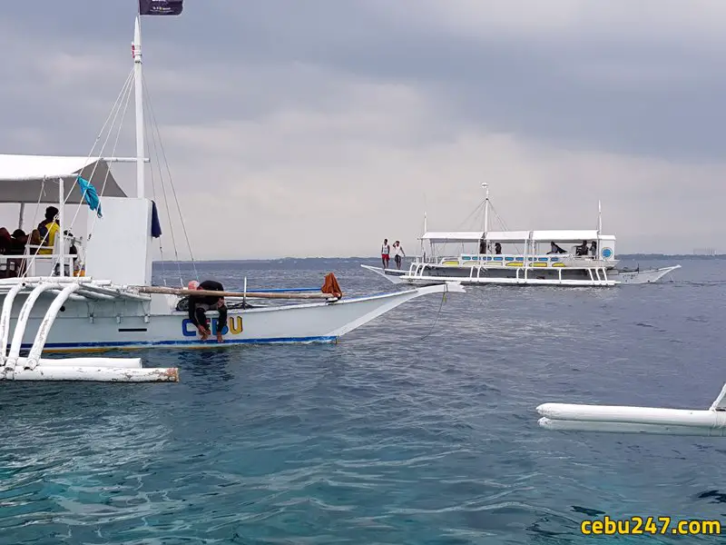 island hopping cebu