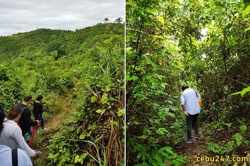 jungle trek cebu