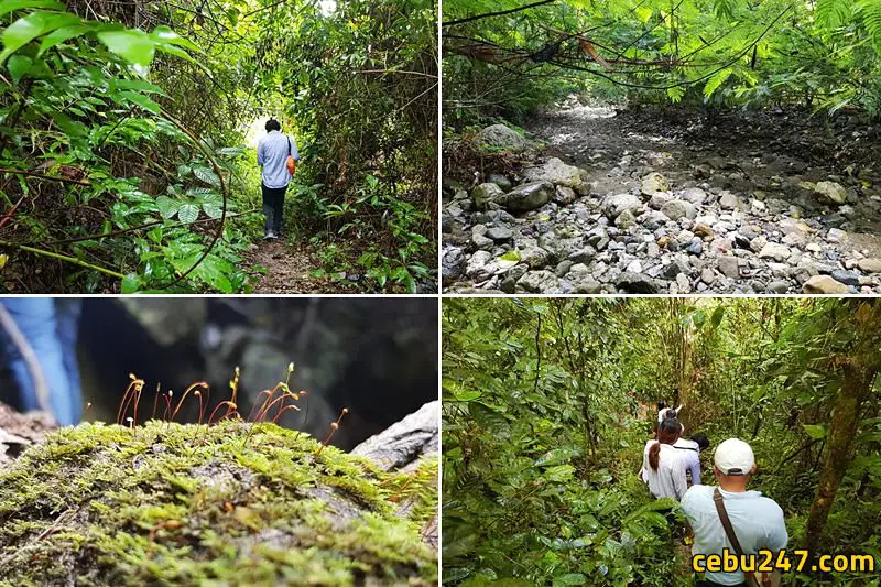 spartain trek adventure cebu