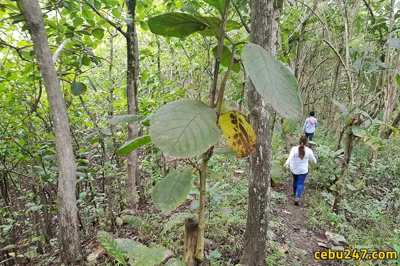 spartan trail cebu trekking adventure