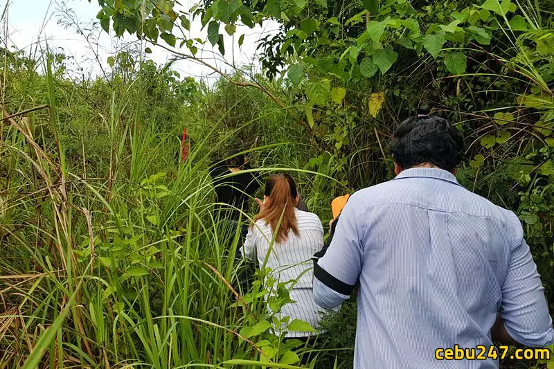 trail hiking cebu