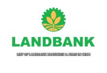 landbank branches atms cebu