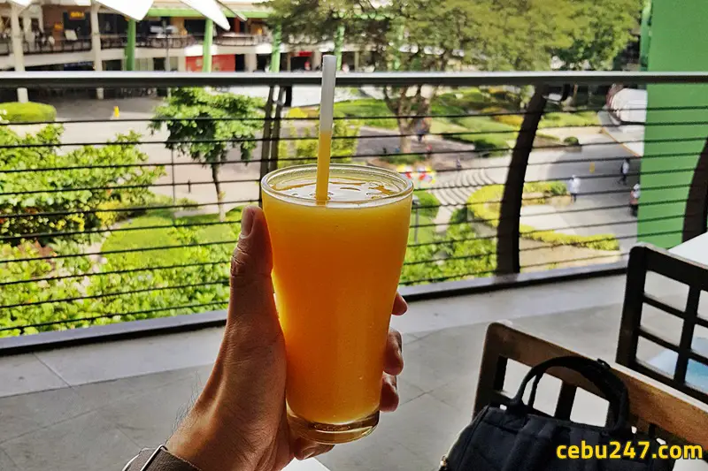 mango slush shake dessert facgtory