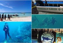 Cebu Diving Shops