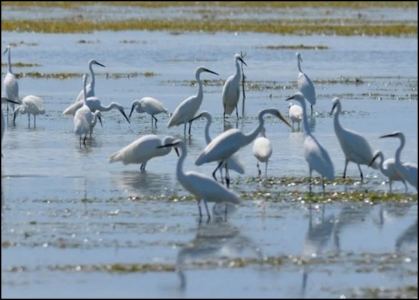 OLANGO BIRD SANCTUARY