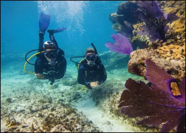 SAN VICENTE MARINE SANCTUARY