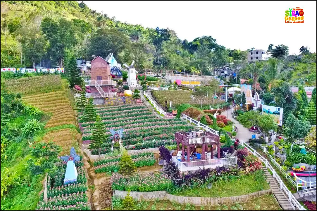 SIRAO FLOWER FARM