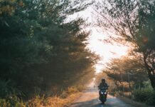 Motorcycle Ride Forest