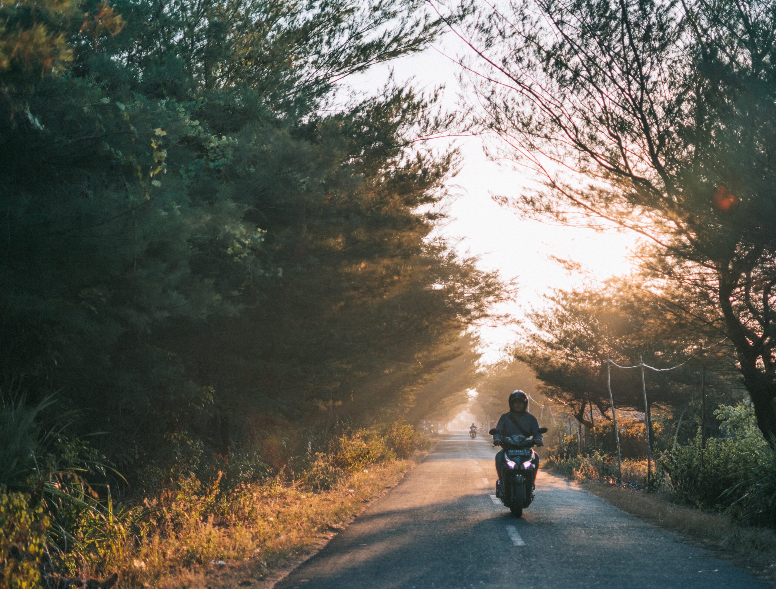 Motorcycle Ride Forest